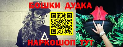 индика Сланцы