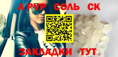 индика Сланцы