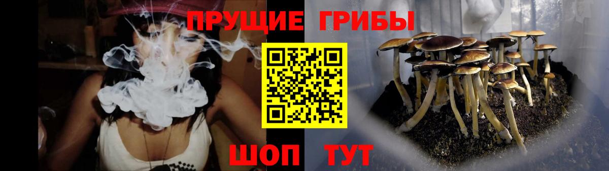 Псилоцибиновые грибы Psilocybine cubensis Петропавловск-Камчатский